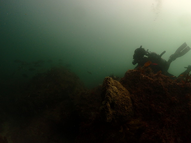 ダイブショップサンライズ 志賀島